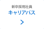 新卒採用社員キャリアパス