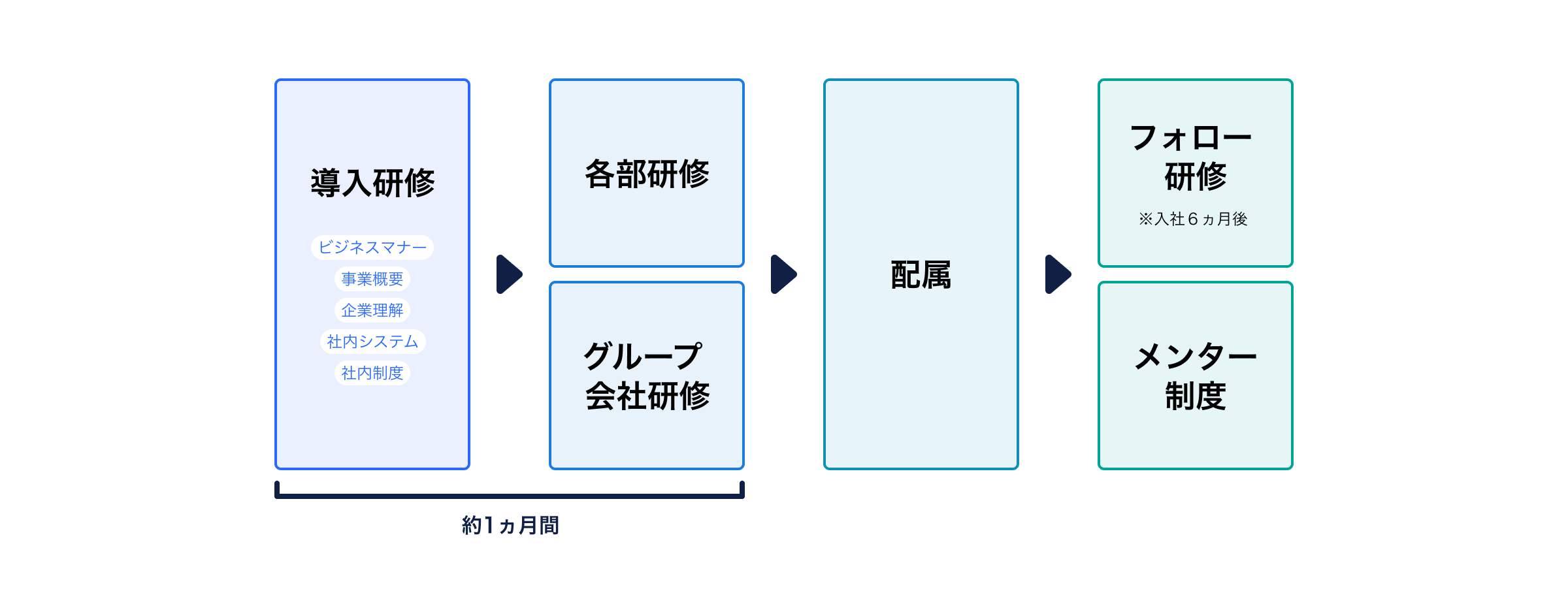 新入社員研修の説明図：約１ヵ月間は、導入研修（ビジネスマナー、事業概要、企業理解、社内システム、社内制度）→各部研修、グループ会社研修を実施。配属後は、フォロー研修（入社６ヵ月後）、メンター制度を実施。